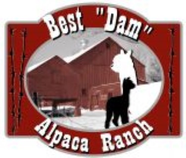 Best 'Dam' Alpaca Ranch