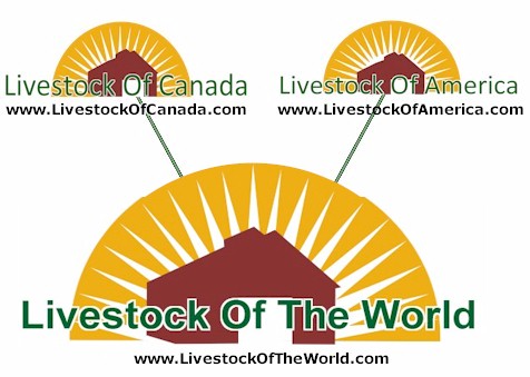 Livestock Of The World