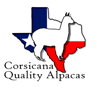Corsicana Quality Alpacas