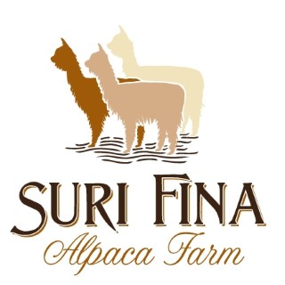 Suri Fina Alpaca Farm