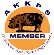 American KuneKune Pig Society