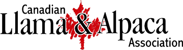 The Canadian Llama and Alpaca Association