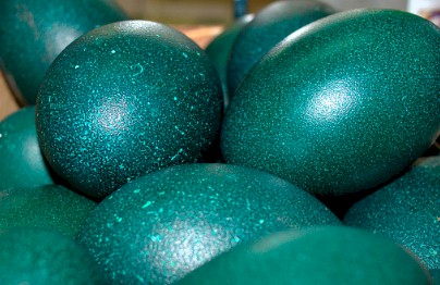 Emu Eggs