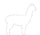 About Huacaya Alpacas