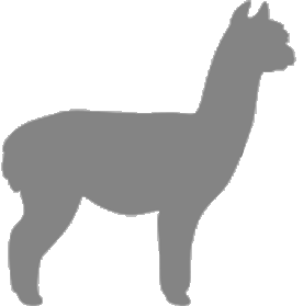 About Suri Alpacas