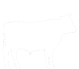 About Beefalo Cattle