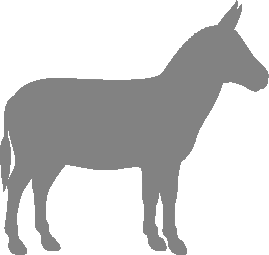 About Large Standard Donkeys