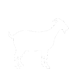 About Icelandic Goats