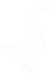 About Toulouse Goose