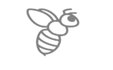 About Buckfast Honey Bees