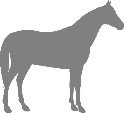 About Rhenish German Coldblood Horses
