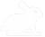 About Netherland Dwarf Rabbits