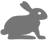 About Cuban Brown Rabbits