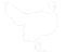 About Narragansett Turkeys