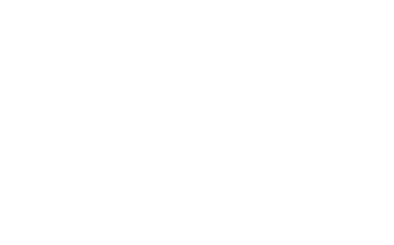About  Bison