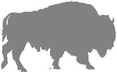 About American Bisons
