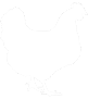 About Polverara Chickens