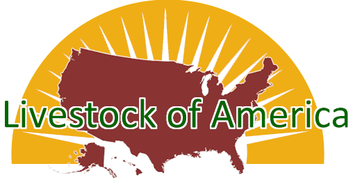Livestock Of America