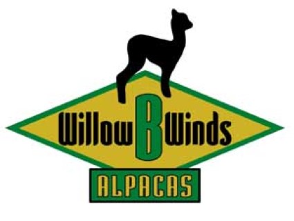 WillowBWinds Alpaca