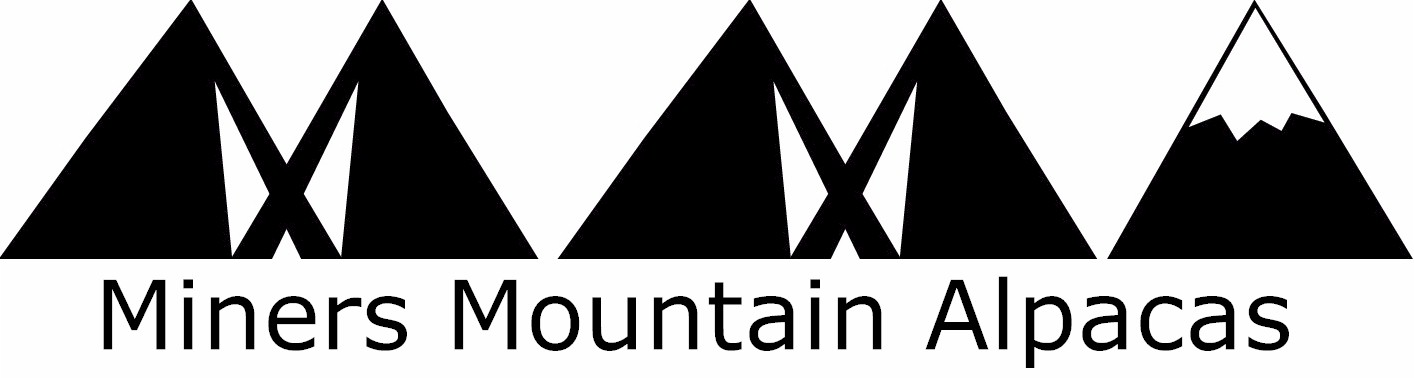 Miners Mountain Alpacas