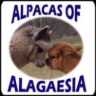 Alpacas of Alagaesia