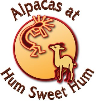 Alpacas at Hum Sweet Hum