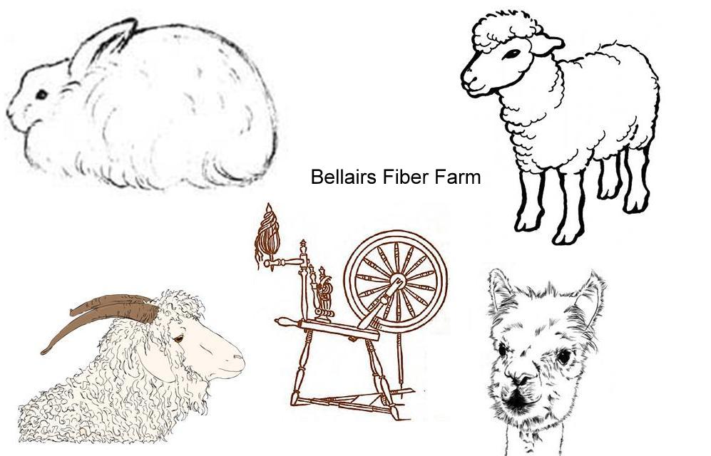 Bellairs Fiber Farm