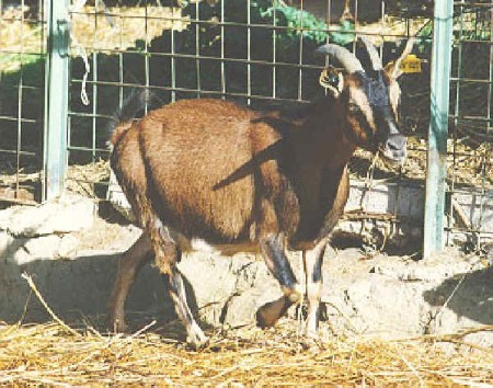 Source: Agraria.org