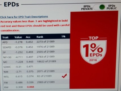 Top EPD's!