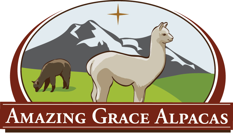 Amazing Grace Alpacas