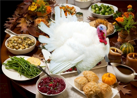Broad-Chested White Turkey - It's What's for Thanksgiving Dinner
