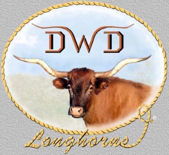 DWD Longhorns