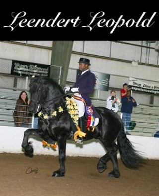 Horse For Sale - Leendert Leopold at Griffin Sport Horses & Goats