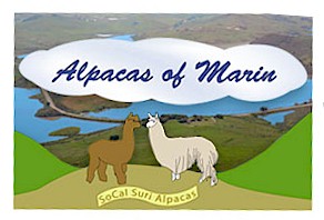 Alpacas of Marin
