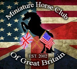 The Miniature Horse Club of Great Britain