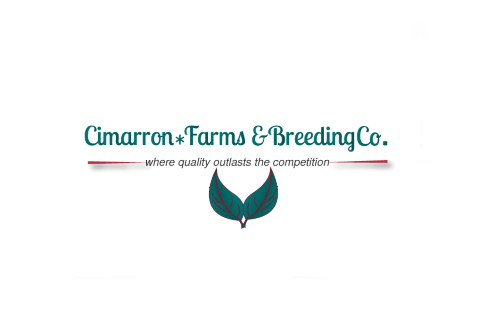 Cimarron Farms and Breeding Co.