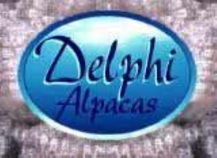 Delphi Alpacas