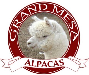 Grand Mesa Alpacas