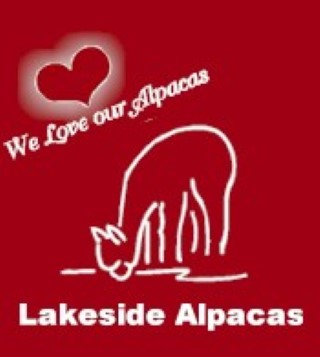 Lakeside Alpacas