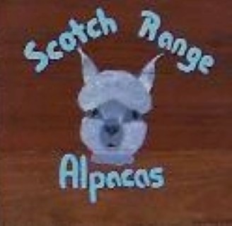 Scotch Range Alpacas